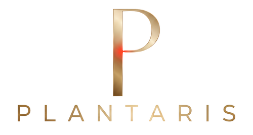 Plantaris
